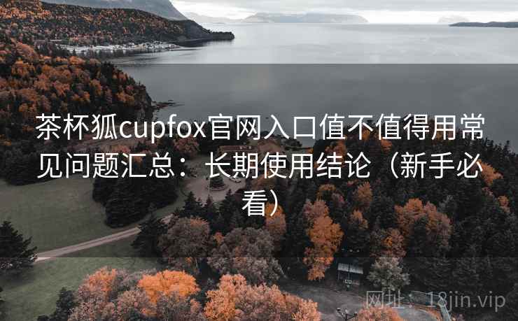 茶杯狐cupfox官网入口值不值得用常见问题汇总：长期使用结论（新手必看）