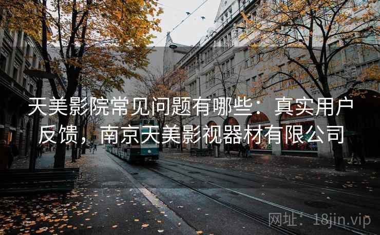 天美影院常见问题有哪些：真实用户反馈，南京天美影视器材有限公司