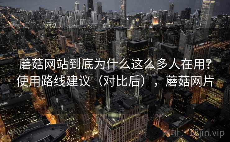 蘑菇网站到底为什么这么多人在用？使用路线建议（对比后），蘑菇网片