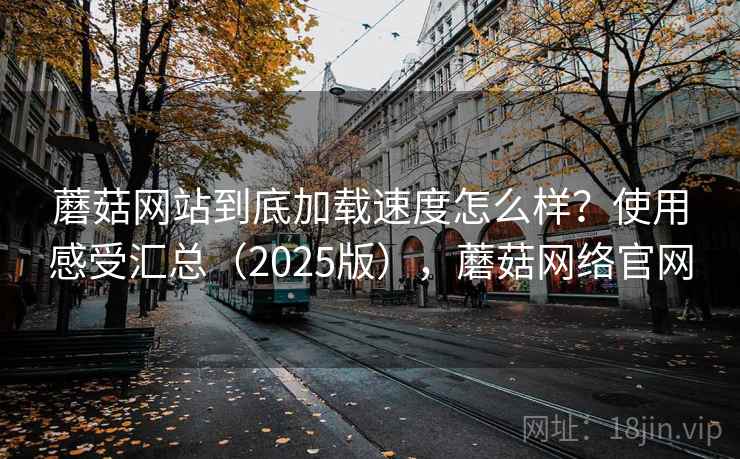 蘑菇网站到底加载速度怎么样？使用感受汇总（2025版），蘑菇网络官网