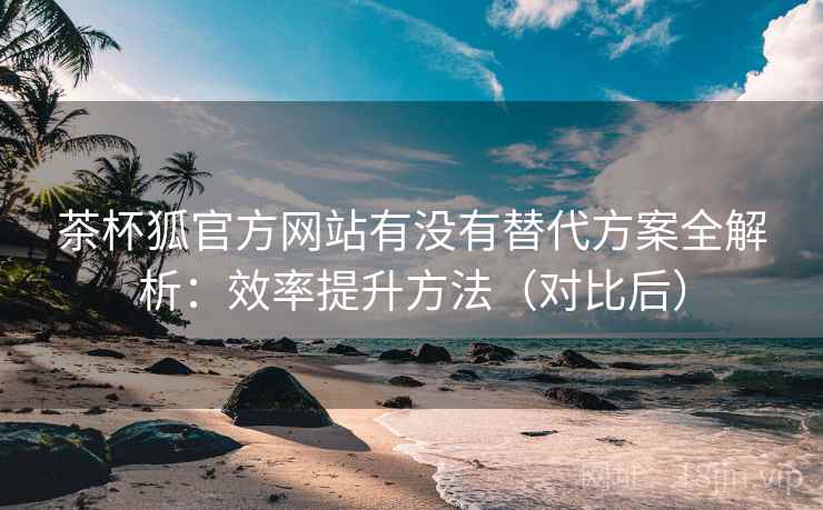 茶杯狐官方网站有没有替代方案全解析：效率提升方法（对比后）