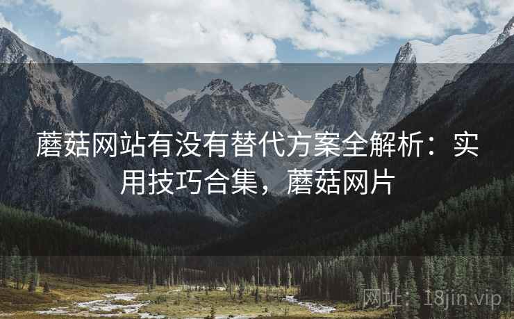 蘑菇网站有没有替代方案全解析：实用技巧合集，蘑菇网片