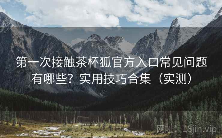 第一次接触茶杯狐官方入口常见问题有哪些？实用技巧合集（实测）