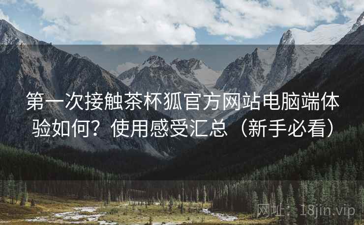 第一次接触茶杯狐官方网站电脑端体验如何?使用感受汇总(新手必看) 第一次接触茶杯狐官方网站电脑端体验如何?使用感受汇总(新手必看)