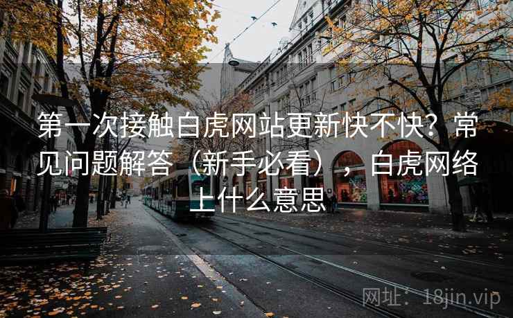 第一次接触白虎网站更新快不快？常见问题解答（新手必看），白虎网络上什么意思